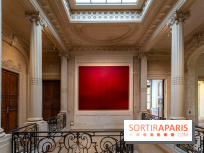 La Maison Guimet (Hôtel d'Heidelbach) - les photos