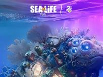 Val d’Europe célèbre les 25 ans de SEA LIFE Paris avec un événement immersif inédit
