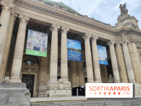 Nous, frissons d'étoile : une installation immersive contemporaine au Grand Palais