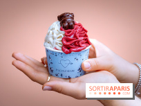 Le comptoir à glaces de Pleincœur et ses coupes glacées - photos