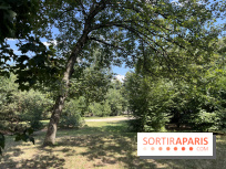 Le parc de la Cité Universitaire, espace vert unique au monde - nos photos