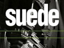 suede