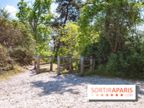 Liaisons douces à Fontainebleau : la forêt à vélo, les photos