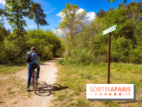 Liaisons douces à Fontainebleau : la forêt à vélo, les photos