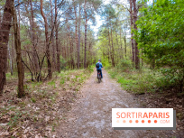 Liaisons douces à Fontainebleau : la forêt à vélo, les photos