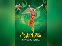 Saltimbanco Paris Bercy