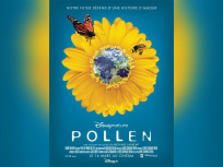 Pollen, Cinéma, Disney