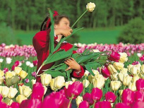 cueillettes près de paris