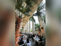 La terrasse du Mini Palais se met à l'heure des thés