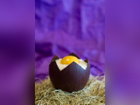 L'oeuf Coco