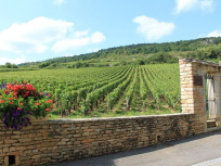 Soirée œnologique de Chablis à Mâcon chez Loiseau Rive Droite