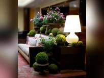 Jardin à l a Française by Atelier Verchère au Renaissance Paris Vendôme