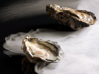 Le Bar à Huîtres lance une offre huîtres à volonté