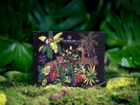 Côté Sushi lance sa Jungle Box