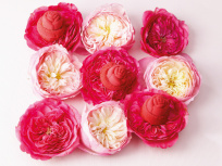 Fête des Mères 2016 by Lenôtre