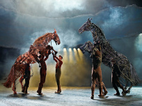 War Horse Spectacle