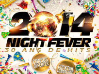 2014 NIGHT FEVER au PALACE PRIVILEGE