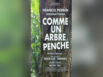 comme un arbre penché