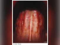 Portrait Roméo Castellucci : Go down, Moses, au Théâtre de la Ville