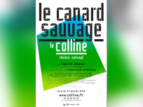 le canard sauvage