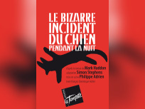 Le Bizarre incident du chien pendant la nuit 