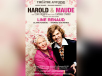 harold & maude
