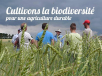 Graines de Noé au Sénat