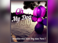 dog day, le lacher de balloon by expo in the city
