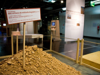 Grains de génie au Palais de la Décoverte