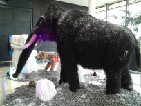 Les animaux de l'ère de glace à Vélizy 2