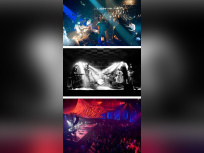  bal contemporain dans le parc de Chamarande