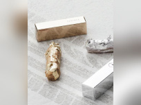 éclairs Guillaume Sanchez X OPEL