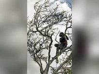 Hadza, les derniers des premiers hommes au Jardin des Plantes