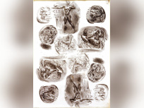 Delacroix et l'antique, l'exposition au Musée Delacroix