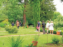 Les secrets de jardins en Essonne