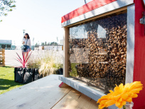 Domus lance des ateliers récolte de miel sur sa terrasse végétale 