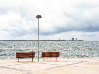 Made For Curie, l'expo-vente au profit de la lutte contre le cancer