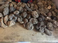 Exposition De(s)rives sur le marché place d'Aligre