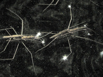 Nuit Blanche 2020 au Musée Bourdelle