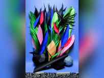 Green-attitude © Pierre Vanni