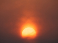 exposition Ahae Jardin des Tuileries, Ahae Jardin des Tuileries 2012, exposition Ahae Paris 2012, exhibition Ahae Paris 2012, exposition Jardin des Tuileries été 2012, Ahae Paris 2012 | ©AHAE press