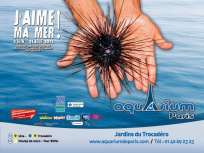exposition J'aime ma mer à l'Aquarium de Paris