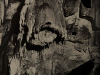 exposition Dove Allouche au Centre Pompidou