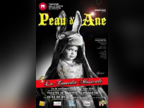 Peau d'Ane au Théatre de la Porte Saint Martin