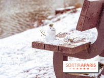 Neige et verglas en Île-de-France la semaine prochaine ? 