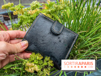 Plan d'épargne avenir climat, pour quand, qui et à quel taux ? Tout ce qu'il faut savoir