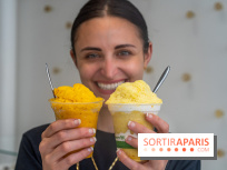 Les glaces granité-neige ultra rafraichissantes de Jade Génin façon kakigori 2024