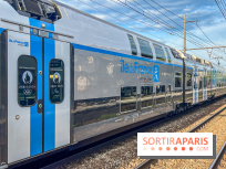 RER B, D et Transiliens : perturbations majeures pendant les vacances de la Toussaint 2024