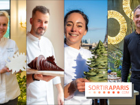 Les bûches de Noël 2024 de célèbres pâtissiers , chocolatiers et grandes Maisons à Paris