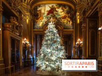 Top 15 des plus beaux Sapins de Noël à Paris 2024 : de quoi mettre des paillettes dans vos yeux